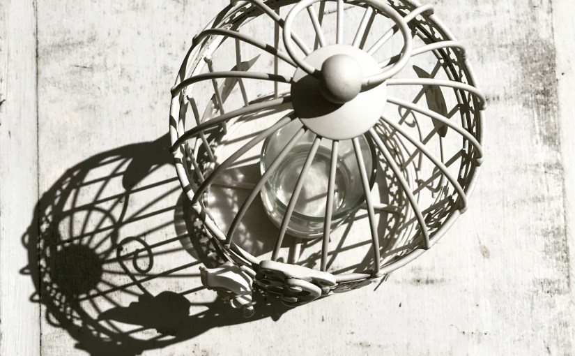 Positions and Practice Week 9 Reflection w/c 21st July&nbsp;2017