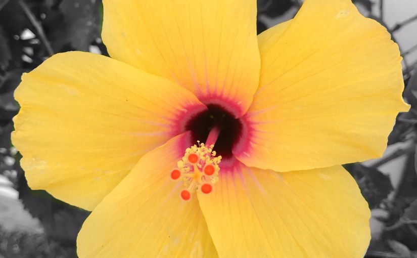 Reflection W/C 8th&nbsp;September