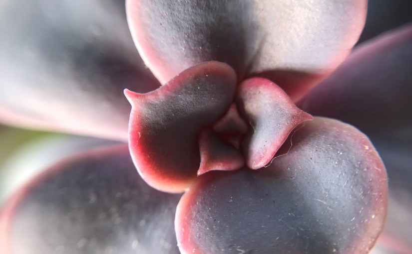 Sustainable Prospects: Week 3 Reflection W/C 6th October&nbsp;2017