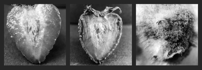 Processed with MOLDIV