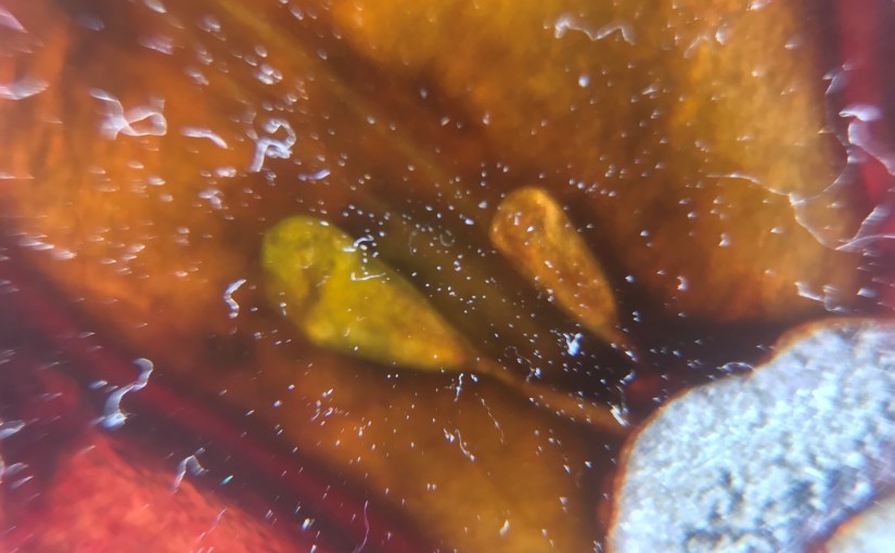 Surfaces and Strategies: Week 8. Independent Reflection W/C&nbsp;20/07/2018