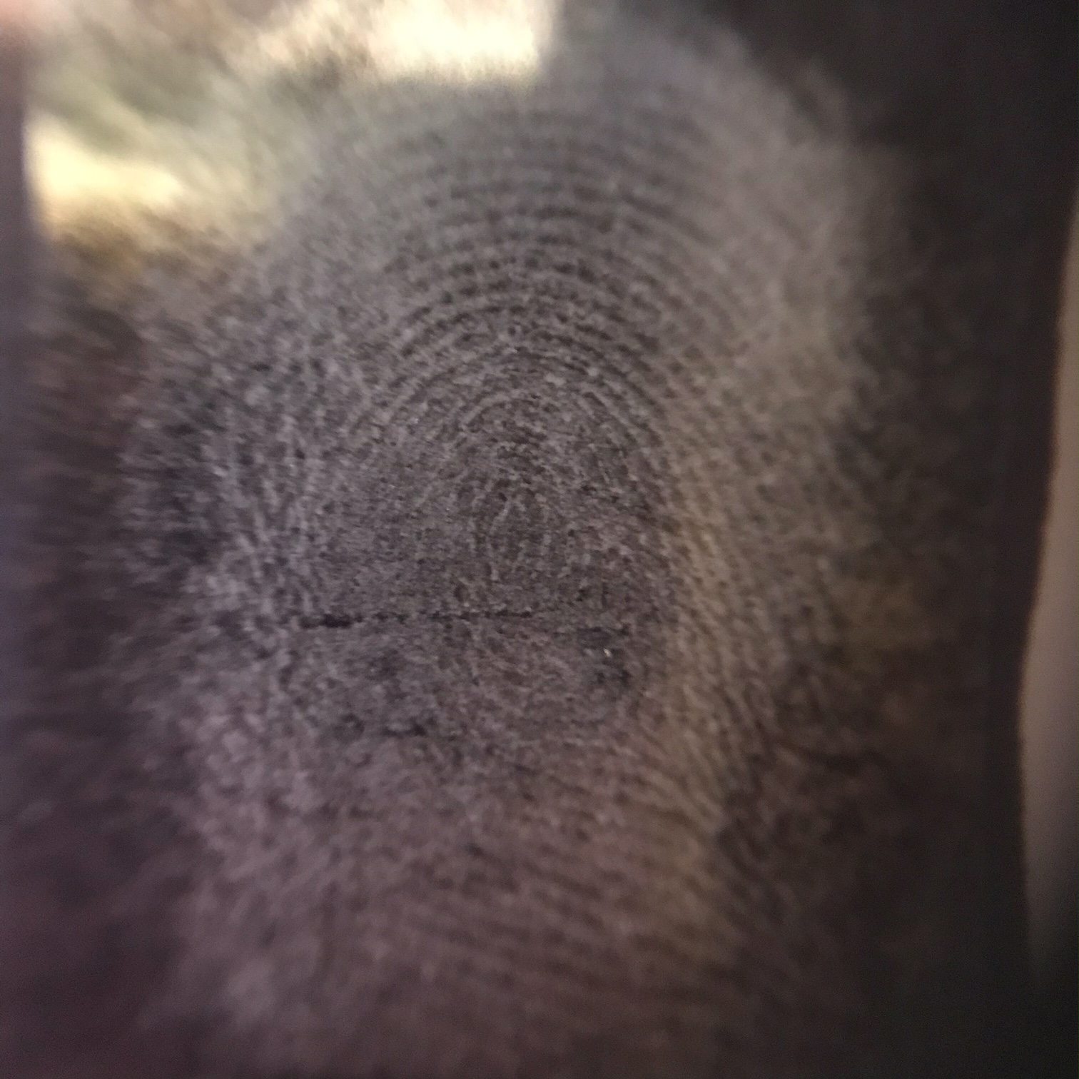 A47633C7-D9DC-4DB6-85A8-FC600BF5BE14